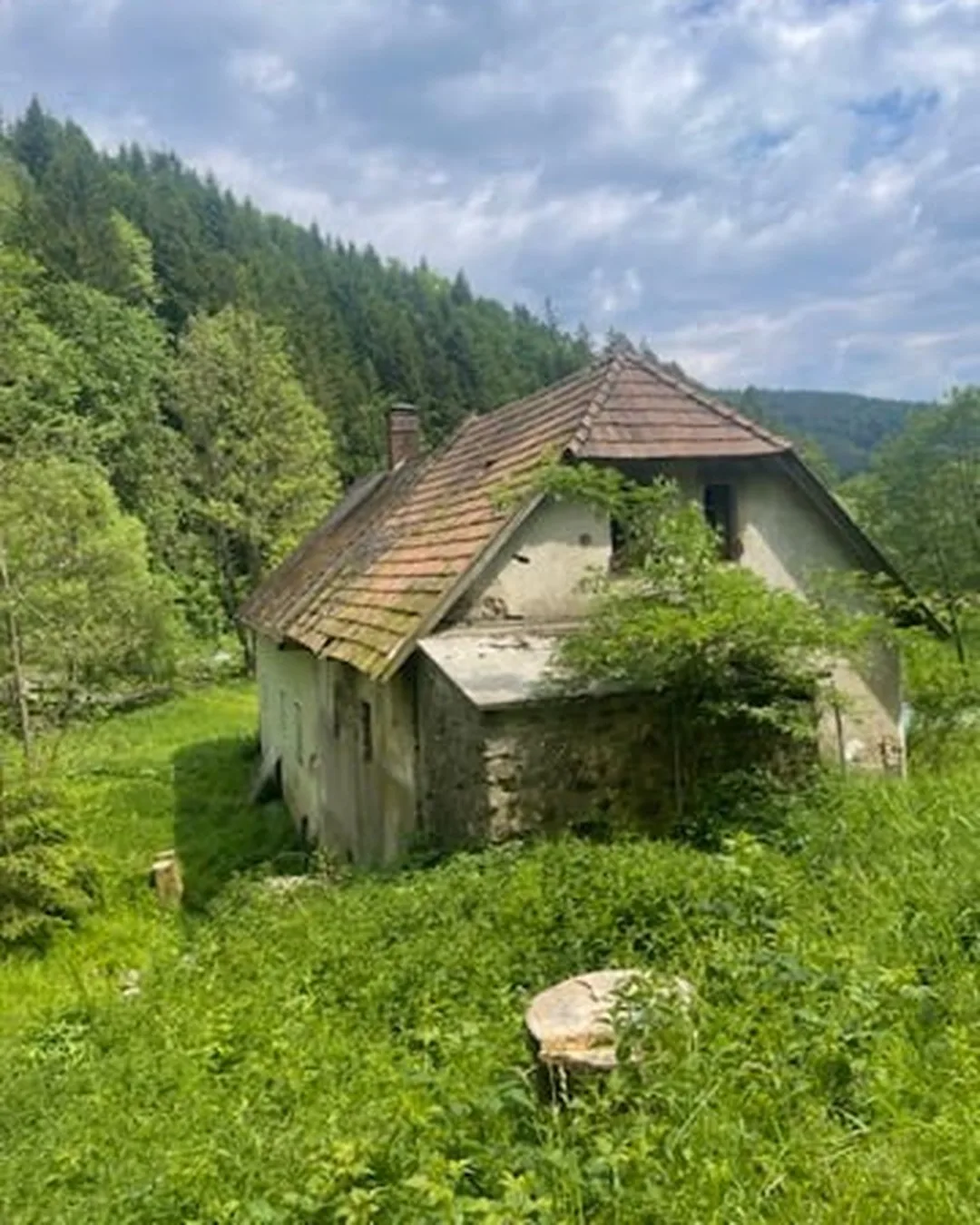 Die Mühle vor der Sanierung: bemoostes Ziegeldach, verwachsene Mauern, kaputte Fenster.